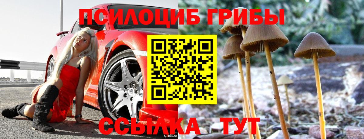 Псилоцибиновые грибы MAGIC MUSHROOMS Новочебоксарск